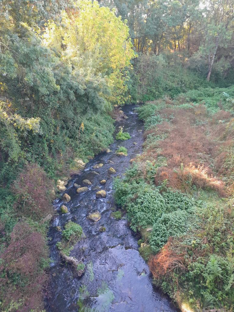 Roumer à Porte de Loire en octobre 2023