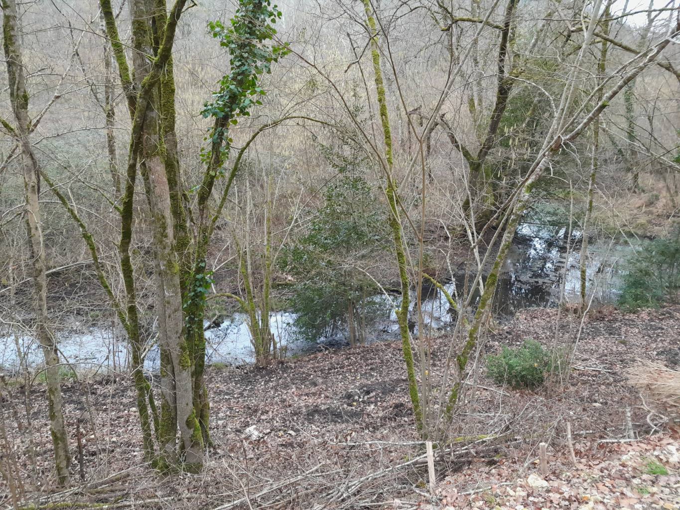 Ancien méandre de Varanne