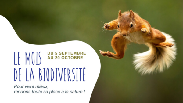 Venez découvrir les travaux de restauration de la Petite Gironde